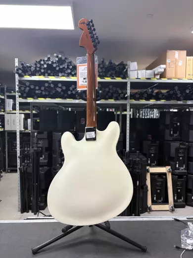Store Special Product - Fender - 026-2370-505